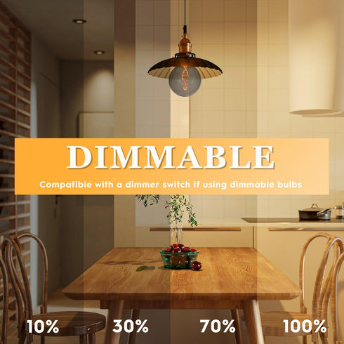 Globe Decorative LED Light Bulb, Oversized Round Dimmable Smoke RN(Retro&Novelty) G125/G40, Edison 3.5W 2200K 55LM Soft Warm Mood Lighting(Not Day...