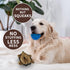 Plush Hedgehog Dog Toys 3 PCS - Squeaky Stuffless Hedgehog for Small and Medium Dogs - Keep Your Puppy Busy with Multi-Colored Interactive Pet Toy...