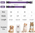Reflective Dog Collar Padded with Soft Neoprene Breathable Quick Release Basic Dog Collars for Large Dogs Purple Girl...