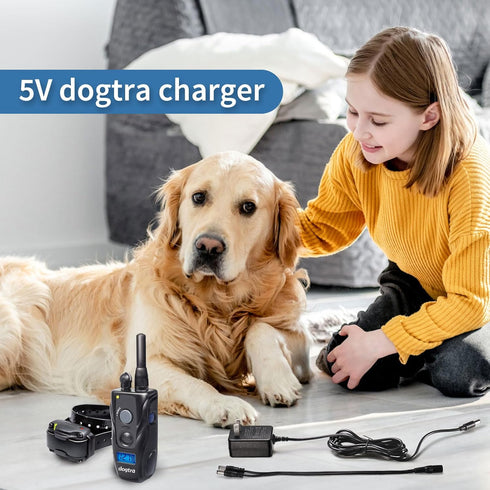 for dogtra Charger dogtra Dog Charger is Compatible with YS300, YS600, EF-3000, 280C, 282C, 200C, and 202C. dogtra Charger with The Dogtra 5-5 Spl...