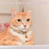 Cat Bell, 8 PCS Bell for Dog Collar Charm Dog Collar Bell Round Dog Bells Cat Bells for Collar Loud Dog Training Bell with Pet Collar Accessories ...