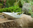 Top Collection Miniature Fairy Garden and Terrarium Sealed with Love Frogs on Paper Boat Statue...
