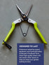 Burpee CR725 Garden Pruning Shears - Garden Hand Tools - Lightweight Precise Pruners for Gardening - Great for Flower Trimming or Vegetable Harves...
