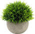 Ogrmar 4PCS Mini Plastic Artificial Plants Grass in Pot/Small Artificial Faux Greenery/Mini Plants Topiary Shrubs Fake Plants for Bathroom, House ...