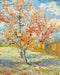 Wowdecor Paint by Number Kits for Adults Beginner, DIY Number Painting Peach Tree in Bloom by Vincent Van Gogh Famous Paintings 40x50 cm Wall Art ...