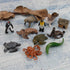 Realistic 10 PCS Mini Ocean Sea Marine Manatee Walrus Turtle Figure Desktop Decoration Party Supplies Cake Toppers Bath Toy for Kid Boy Girl 5 6 7...