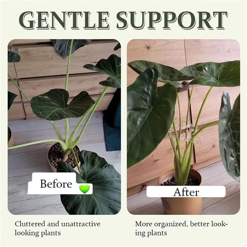 Turtle Shell Bamboo Clamp Set, Reusable Clear Plastic Plant Stem Support Holder, Plant Retaining Support for Outdoor and Indoor Plants, Including ...