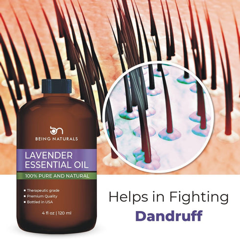 Lavender Essential Oil - Huge 4 FL OZ - 100% Pure & Natural – Premium Natural Oil with Glass Dropper Essential Oil...