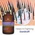 Lavender Essential Oil - Huge 4 FL OZ - 100% Pure & Natural – Premium Natural Oil with Glass Dropper Essential Oil...