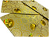 Shagun Envelopes Shiney Unique Spheric Designer Set Money Cash Gift Envelope (Pack of 5) for Indian Wedding/Engagement/Diwali/Birthday/Anniversary...