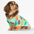 Fitwarm Easter Egg Dog Pajamas, Holiday Dog Clothes for Small Dogs Girl Boy, Pet Easter Outfit, Puppy Cat Onesie, Lightweight Velvet, Light Green,...