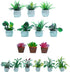 Miniature Dollhouse Accessories 16 Pieces Miniatures Plants Flowers Bonsai Greenery Ornament Mini Toys for Dollhouse Fairy Garden Landscape DIY De...