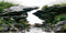 AWERT 48x20 inches Viewing Stone Fish Tank Background River Bed & Lake Aquarium Background Seaweed Aquarium Vinyl Background...