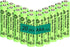 1.2V AAA 300mAh Ni-MH Rechargeable Batteries for Solar Lights,20 Packs...