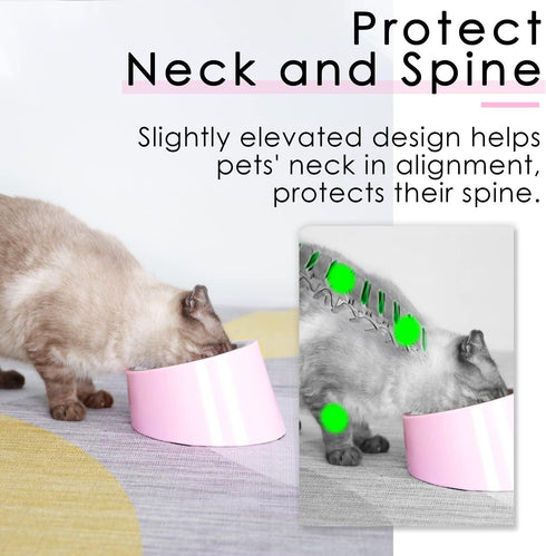 Super Design Mess Free 15° Slanted Bowl for Dogs and Cats, Tilted Angle Bulldog Bowl Pet Feeder, Non-skid & Non-spill, Easier to Reach Food S/0.5 ...