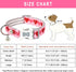 ARING PET Valentine's Day Dog Collar-Cute Pink Heart Dog Collar, Adjustable Valentine Pet Collars Puppy Collar with Quick Release Buckle for Small...