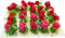 20Pcs Miniature Flower Cluster Grass Flower Tufts for Mini Dollhouse Fairy Garden Railway Simulated Static Scenery Micro Landscape Model (Red)...