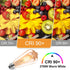 HESSION ST64 LED Edison Bulbs, 4W Equivalent 40W, Soft Light Amber Glass 2700K, LED Filament Bulbs with 90+ CRI E26 Medium Base, Dimmable Light Bu...