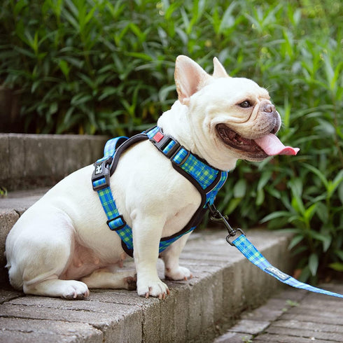PoyPet No Pull Dog Harness, Reflective Adjustable No Choke Pet Vest with Front & Back 2 Leash Attachments, Soft Control Training Handle for Small ...