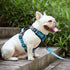 PoyPet No Pull Dog Harness, Reflective Adjustable No Choke Pet Vest with Front & Back 2 Leash Attachments, Soft Control Training Handle for Small ...