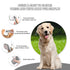 Dogs Cats Self Cleaning Slicker Brush for Shedding & Grooming Any Breed of Pets, Remove Loose Undercoat Knots Mats Tangled Hair for Small Medium L...