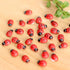 20-Piece Set: Seven-Spot Ladybug Décor - Wooden Handcrafted Simulation Beetle Garden with Realistic Ladybug Insect Miniature Sample Model - Yard, ...