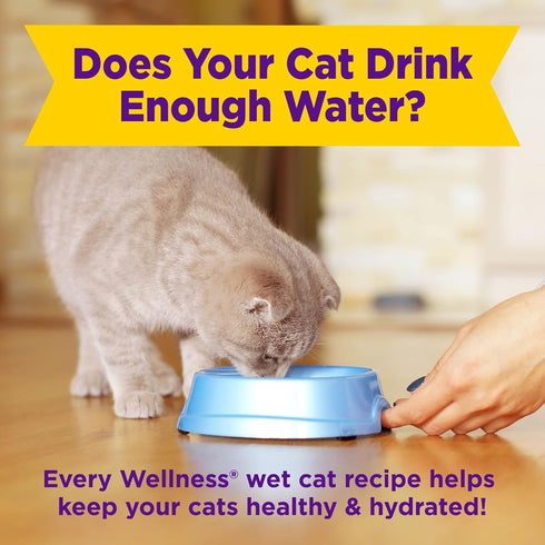 Wellness® Appetizing Entrées™ Mousse Chicken Recipe Infused with Broth Natural Wet Cat Food, 1.4 oz Pouch (Pack of 8)...