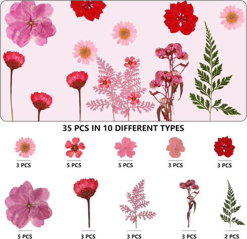 35 Pcs Dried Pressed Flowers for Resin, Pink Real Pressed Flowers Bulk Natural Herbs Kit for Scrapbooking DIY Art Crafts, Epoxy Resin Jewelry Mold...