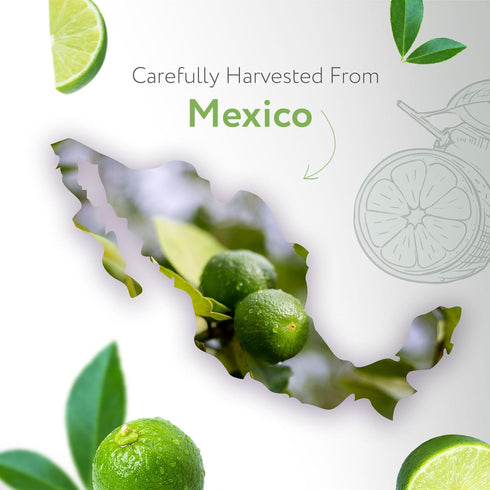 HBNO Lime Essential Oil - Huge 4 oz (120ml) Value Size - Natural Lime Oil, Cold Pressed - Perfect for Cleaning, Aromatherapy, DIY, Soap & Diffuser...