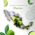 HBNO Lime Essential Oil - Huge 4 oz (120ml) Value Size - Natural Lime Oil, Cold Pressed - Perfect for Cleaning, Aromatherapy, DIY, Soap & Diffuser...