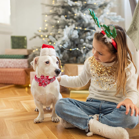 Lionheart glory Christmas Plaid Dog Collar, Dog Flower Collar Adjustable Soft and Comfortable Dog Collars for Medium Dogs Girl or Boy Pet Gift Fal...