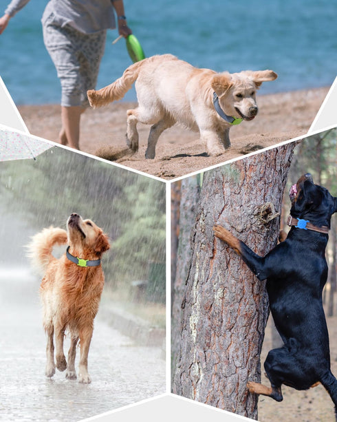 Dynmeow 1 Pack Airtag Dog Collar Holder, Stretchy Silicone Airtag Holder for Dog and Cat Collar, Anti-Lost Dog Airtag Holder Compatible with 3/4 a...