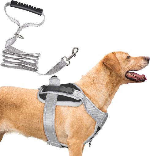 Heavy Duty No-Pull Dog Harness and Leash Set for Large Dogs - Reflective Adjustable Training Vest with Handle, Oxford Fabric, Easy Control (Black,...