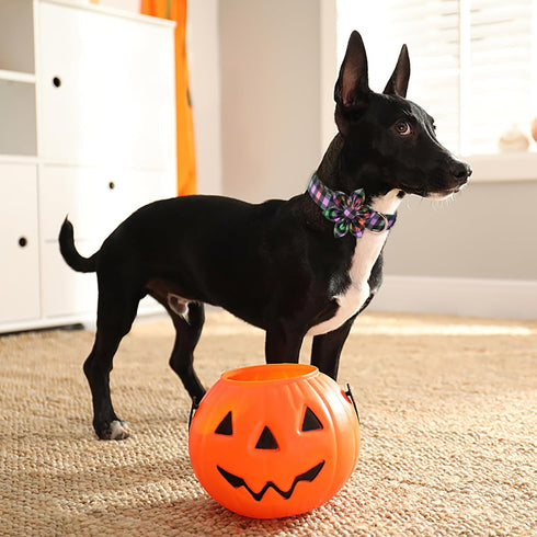 ARING PET Halloween Dog Collar, Cotton Fall Girl Dog Collar with Flower, Cute Adjustable Halloween Plaid Dog Collars with Metal Buckle...