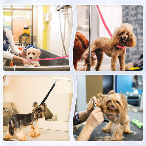 18 Pcs Pet Dog Grooming Loops Nylon Restraint Noose Adjustable Pet Straps Fixed Dog Cat Safety Rope Grooming Supplies for Pet Grooming Table Batht...