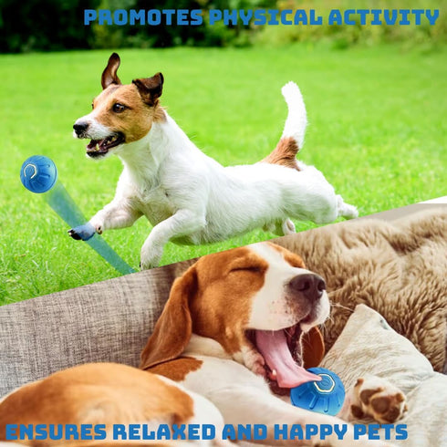 Bouncing Ball for Dogs - Fun Interactive Toy, USB Rechargeable, Durable Design, Water-Resistant for All Play Environments (Blue)...