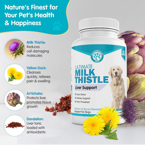 Wanderfound Pets Milk Thistle for Dogs – Tasty Salmon & Bacon Flavored Natural Liver Support for Pets – Kidney Cleanse Detox & Repair Formula Manu...