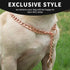 Stainless Steel P Chock Metal Chain -JYHY Dog Necklace Collars Walking Training Pet Supplies for Small Medium Large Dogs (20" (Neck Fits 16"-18"),...