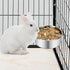 Dog Bowl Stainless Steel Pet Hanging Food Water Bowl Cage Feeding Cup Feeder for Dogs Cats Rabbits Birds Small Animal (Large (2pcs)...