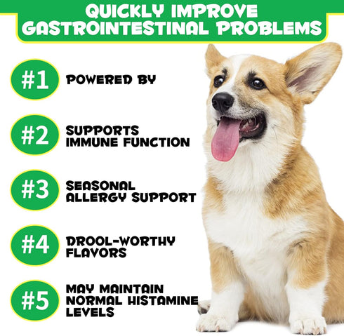 Probiotics for Dogs with Prebiotics and Digestive Enzymes, Dog Probiotics Chews Omega-3 & 6, Vitamin, Improve Digestion, Immunity, Reduce Diarrhea...