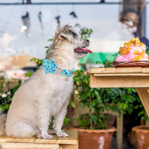Dog Collar with Flower, Comfortable Cotton Summer Dog Flower Collar, Durable Metal Buckle Cute Pet Collar for Large Girl Boy Dog, L, Neck 16-24in...
