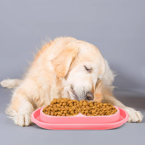 2 Pieces Cat Food Bowls Basic Dog Bowls Plastic Double Pet Food Water Bowls Feeding Bowl Tray Cat Eating and Drinking Bowl No Spill for Cats Dogs ...