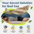 Flatulence Relief for Adults, Odor Eliminator. Men & Women’s Bad Gas Odor Absorbers, Flatulence Underwear Help. Gas Relief for Adults. Flatulence ...