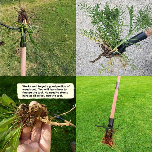 Heavy-Duty Stand Up Weed Puller Head Weed Picker Tool Gardening Hand Tools for Dandelion, Weeder Root Tool Made with Cast Steel No Bending,for Bac...