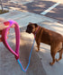 2FT 3FT 4FT 6FT 10FT Reflective Dog Leash- Strong Nylon Rope Braided Dog Training Leash for Extra Large Medium Dogs Walking Leads (Pink 6 Foot 3/4...