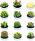Swpeet 12Pcs Decorative Succulent Cactus Tealight Candles Kit, Cute Smokeless Succulent Plants Perfect for Candles Festival Wedding Props and Hous...