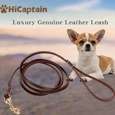HiCaptain Thin Leather Dog Leash for Small Dogs Up to 15 lb (1/3 inch Wide, 6 Ft)...