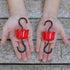 Ant Moat for Hummingbird Feeders, Hummingbird Feeders for Outdoors Hanging, Hummingbird Feeder Ant Guard 4 Hook with 4 Brushe, Red...