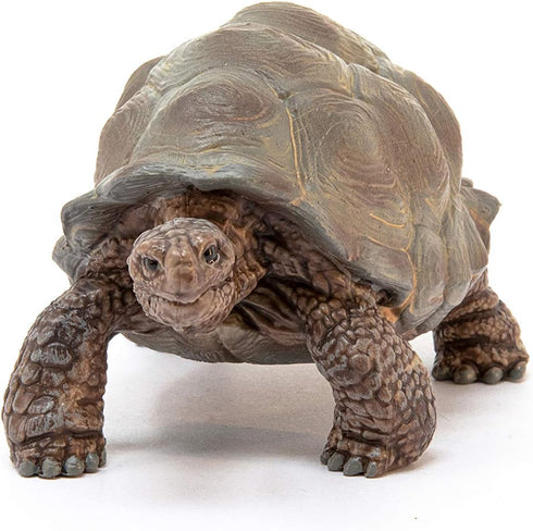 Schleich Wild Life Realistic Exotic Galapagos Giant Tortoise Figurine - WIld Animal FIgurine Giant Tortoise Toy for Wildlife Play and Imagination ...