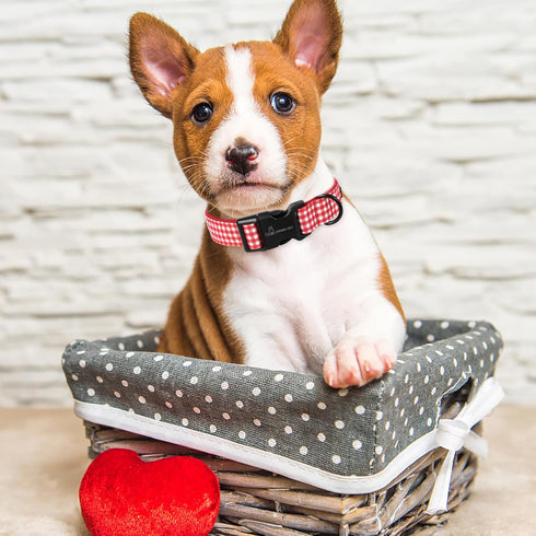 ARING PET Valentine's Day Dog Collar-Cute Cotton Heart Dog Collars, Adjustable Valentine Plaid Pet Collars Girl Puppy Collar with Quick Release Bu...